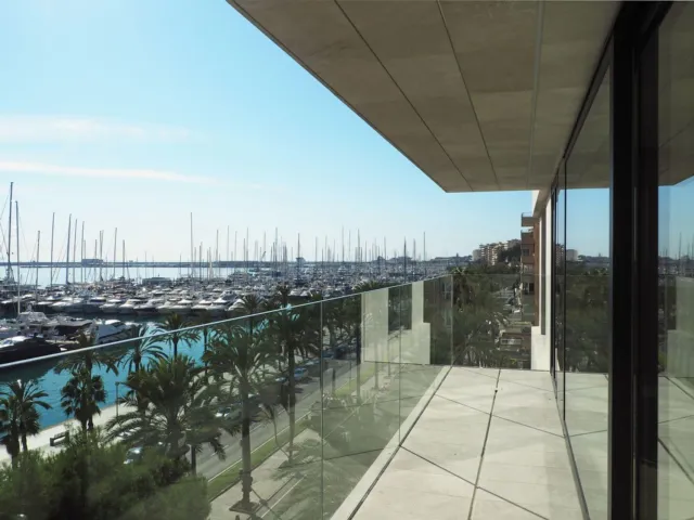 Palma Maritimo