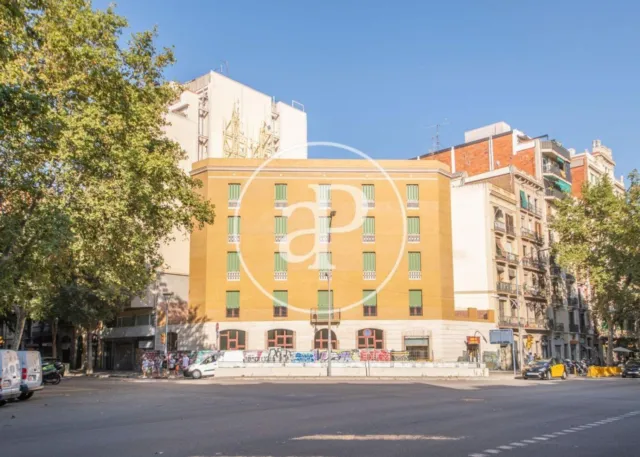 Comte Urgell