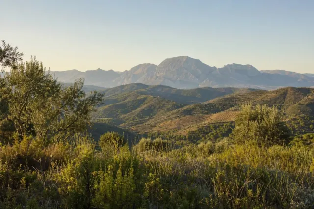 Parcela edificable en Marbella — عکس 3