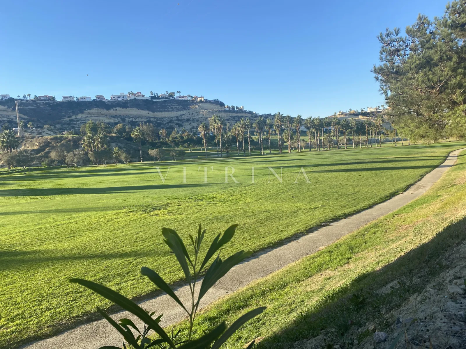 Vega Golf