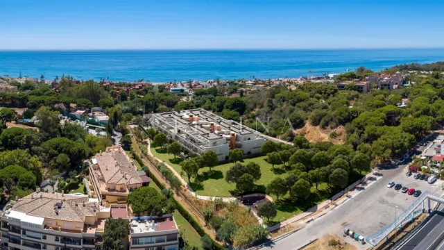 Estrella del Mar