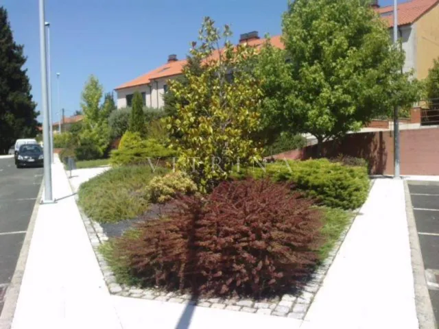 Residencial Vilagueira